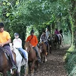 La Salmonera Cangas De Onis Cano