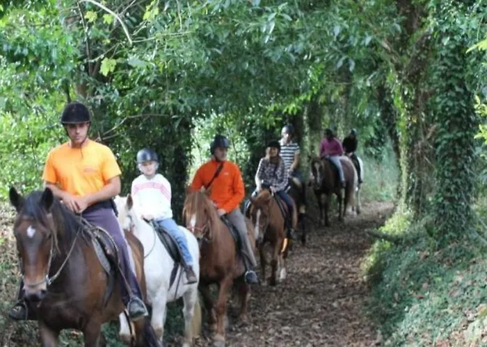 La Salmonera Cangas De Onis Caño