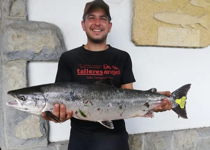La Salmonera Cangas De Onis Hotel