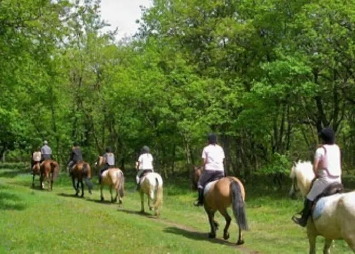 La Salmonera Cangas De Onis Cano